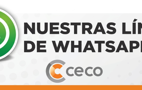 REPORTAMOS INCONVENIENTES EN NUESTRAS LÍNEAS TELEFÓNICAS REPORTAMOS INCONVENIENTES EN NUESTRAS LÍNEAS TELEFÓNICAS